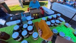 09-raw-beeswax-block-sweetwater.webp