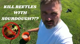 Repurpose Sourdough Discard into Japanese Beetle Lure Ferment Fruit Sourdough Discard.webp