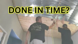 From Seed to Ceiling Homesteading Hustle Tomatoes, Sourdough DIY Room Renovation.webp