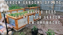 Creative Ways to Grow Your Own Food.webp