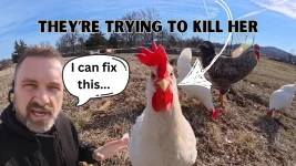 They’re Trying To Kill Her.webp